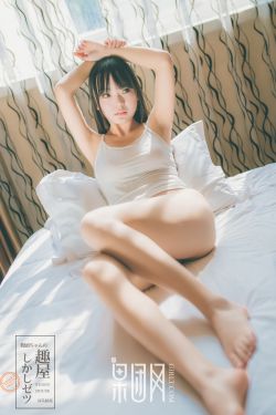 91视频成人